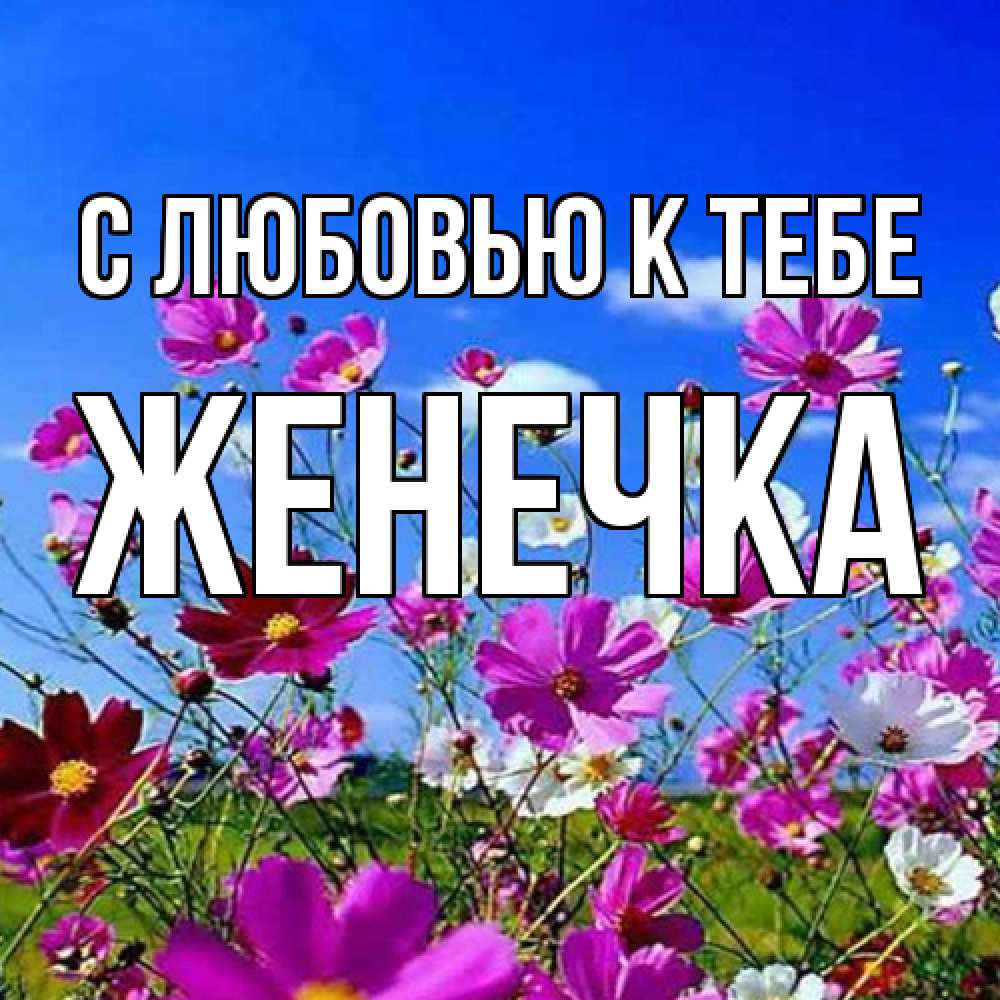 Открытка  с именем. Женечка, С любовью к тебе  