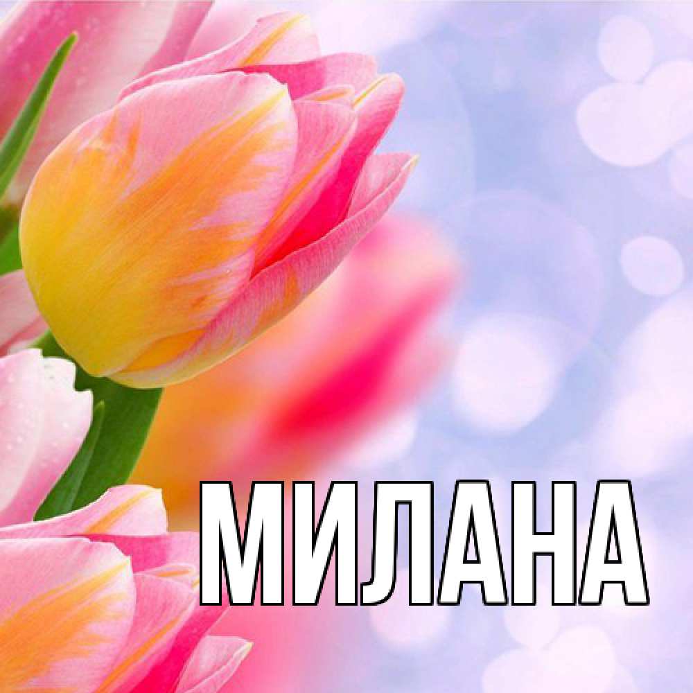 Открытка  с именем. Милана, Главная  