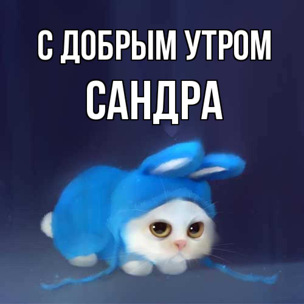 Открытка  с именем. Сандра, С добрым утром  