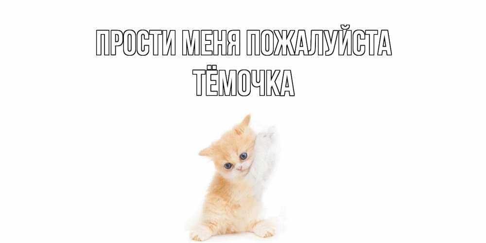 Открытка  с именем. Тёмочка, Прости меня пожалуйста  