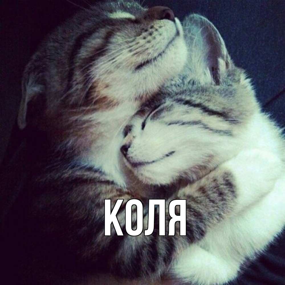 Открытка  с именем. коля, Главная  