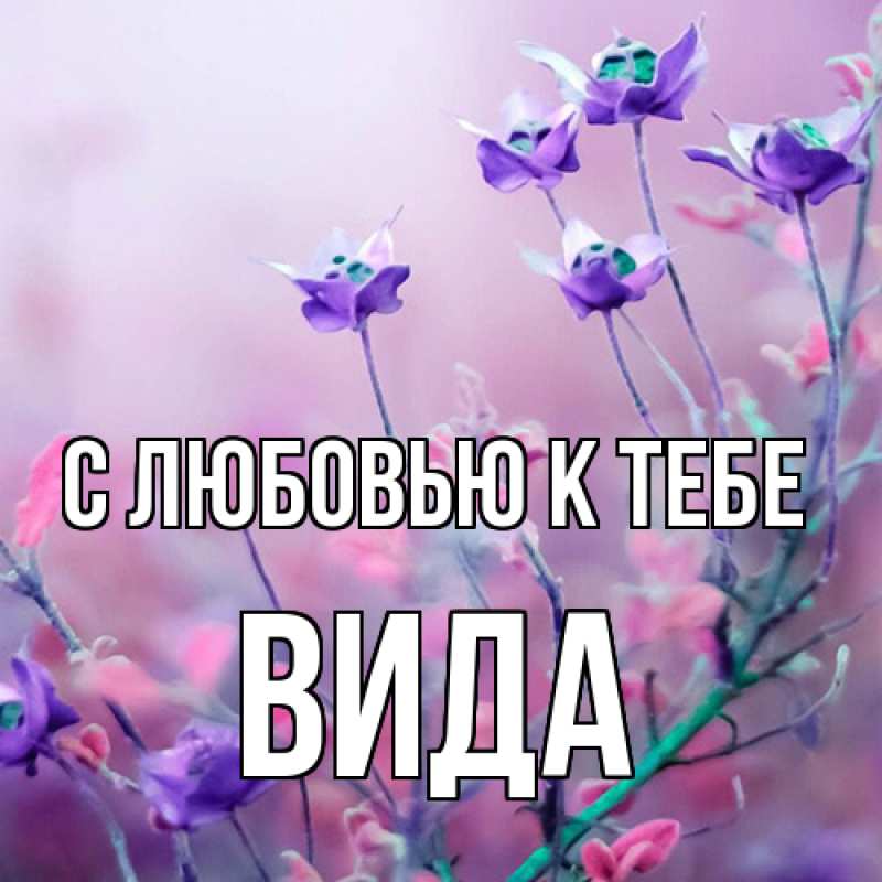 Картинка С любовью к тебе, Вида