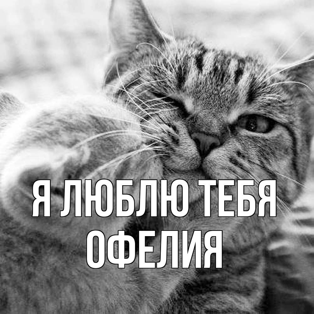 Открытка  с именем. Офелия, Я люблю тебя  