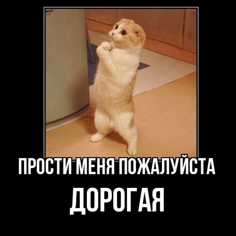 Картинка Прости меня пожалуйста, Дорогая