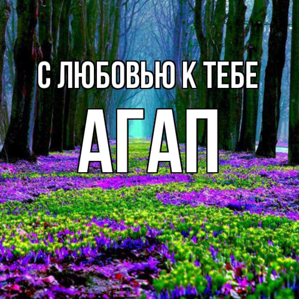 Открытка  с именем. Агап, С любовью к тебе  