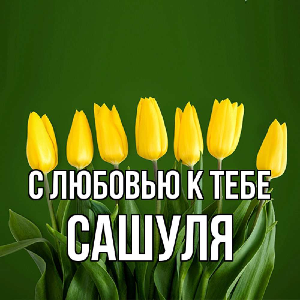 Открытка  с именем. Сашуля, С любовью к тебе  