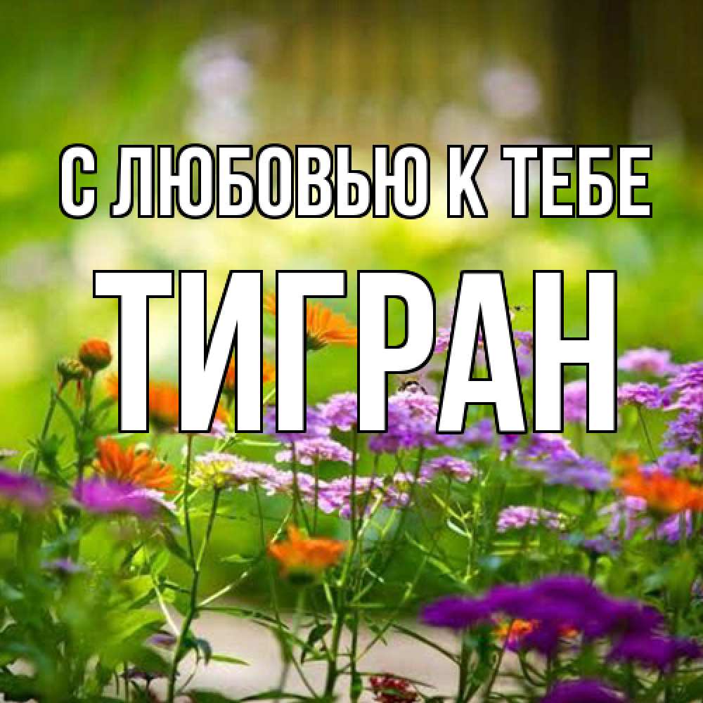 Открытка  с именем. Тигран, С любовью к тебе  