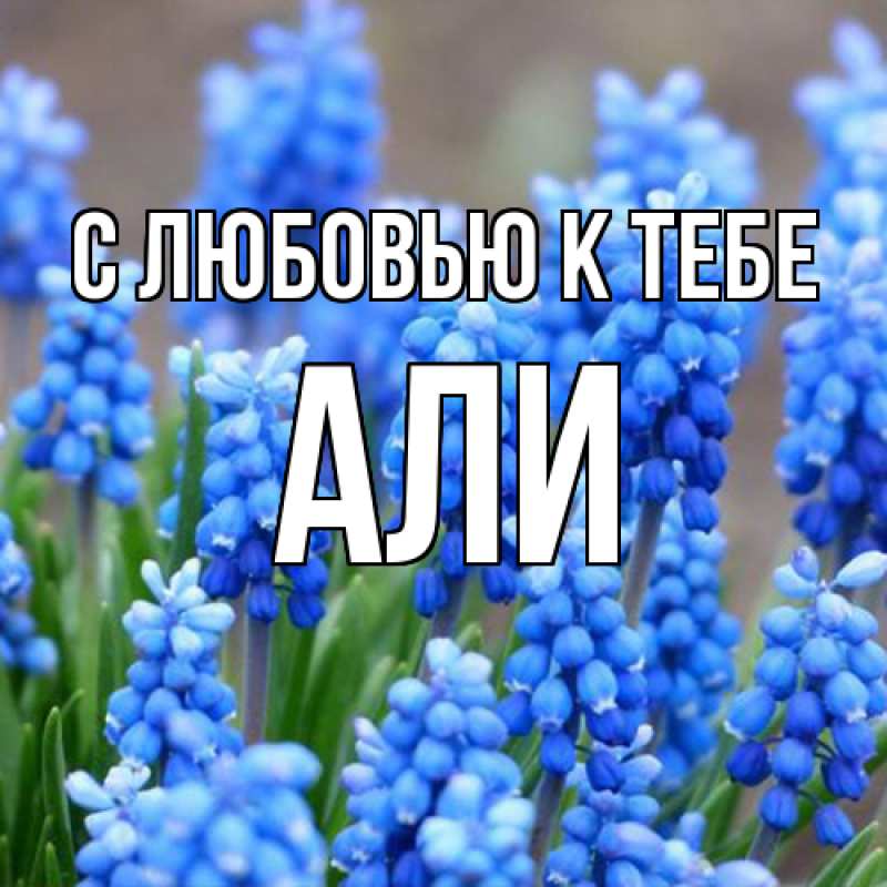 Картинка С любовью к тебе, Али