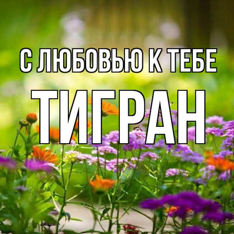 Картинка С любовью к тебе, Тигран