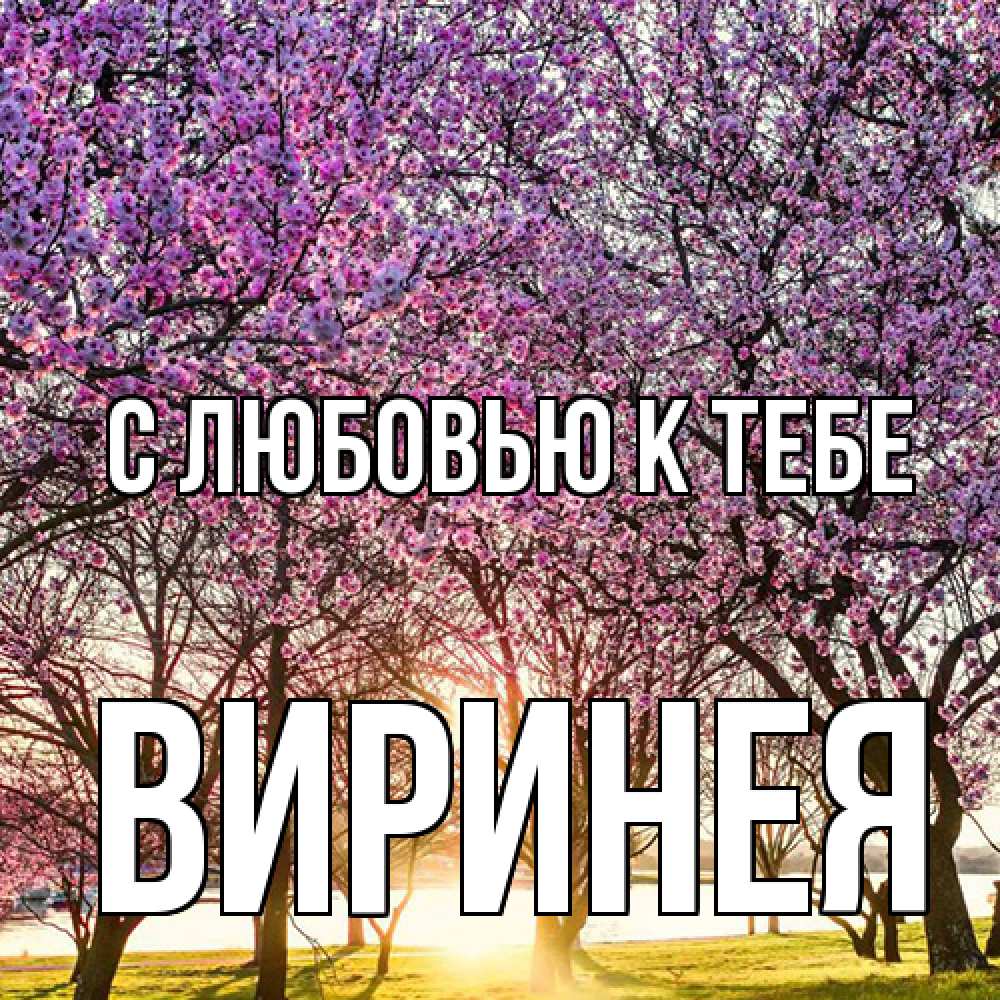 Открытка  с именем. Виринея, С любовью к тебе  