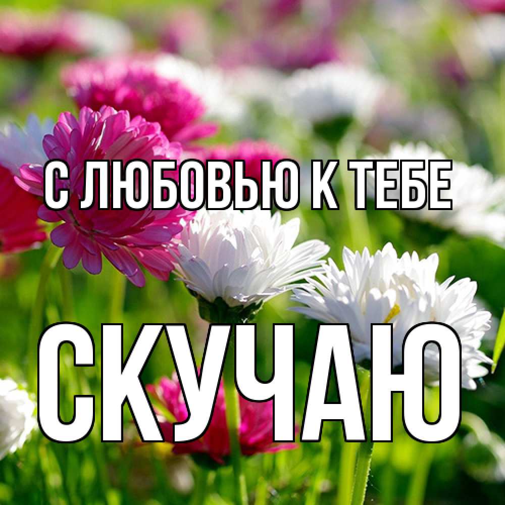 Открытка  с именем. Скучаю, С любовью к тебе  