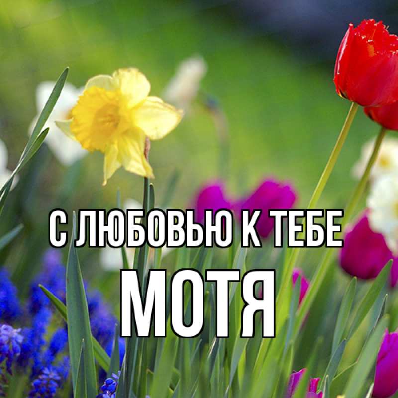 Картинка С любовью к тебе, Мотя