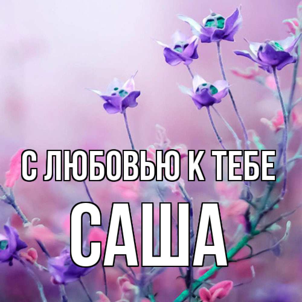 Открытка  с именем. Саша, С любовью к тебе  