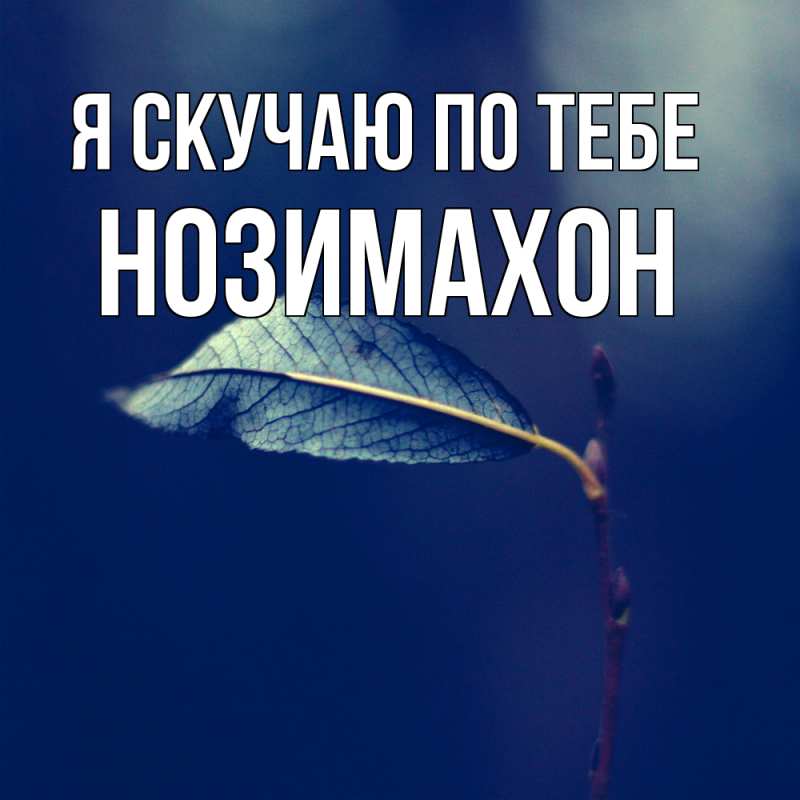 Картинка Я скучаю по тебе, Нозимахон
