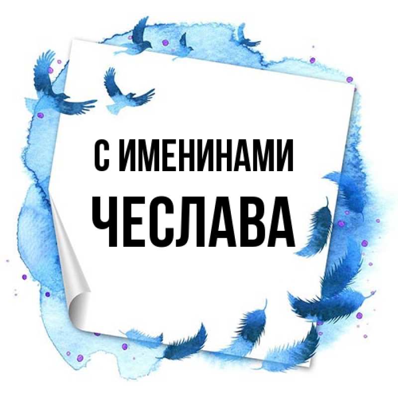 Картинка С именинами, Чеслава