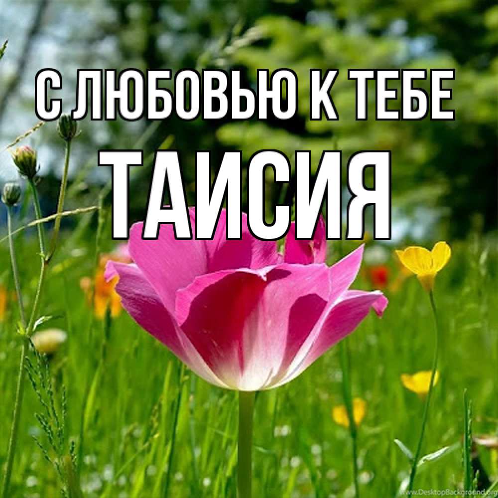 Открытка  с именем. Таисия, С любовью к тебе  