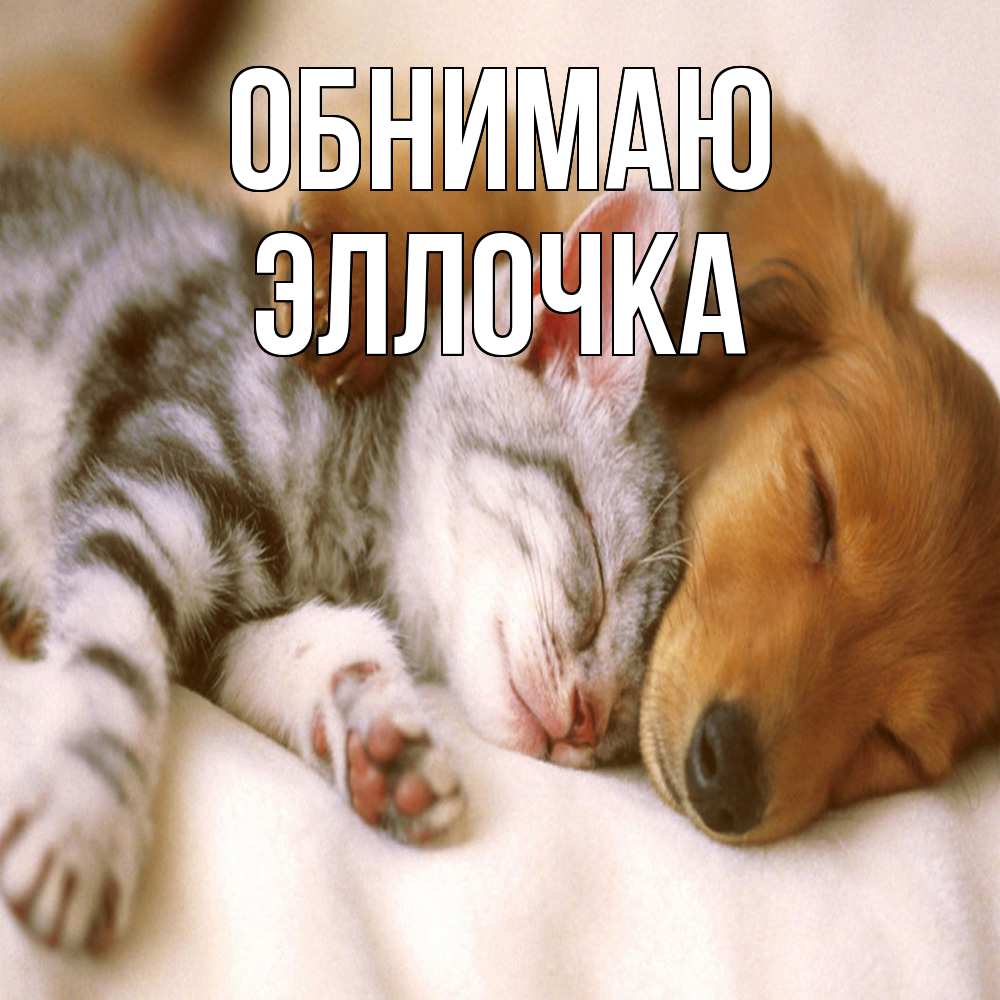 Открытка  с именем. Эллочка, Обнимаю  