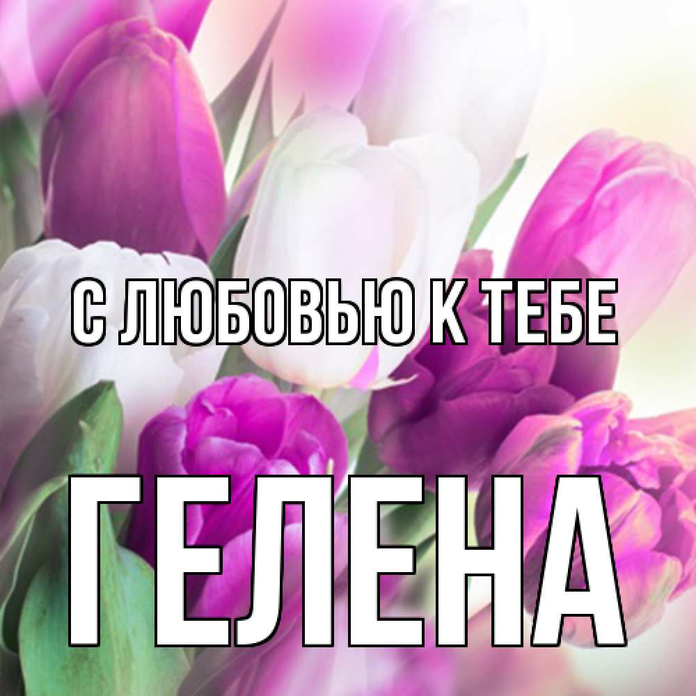 Открытка  с именем. Гелена, С любовью к тебе  