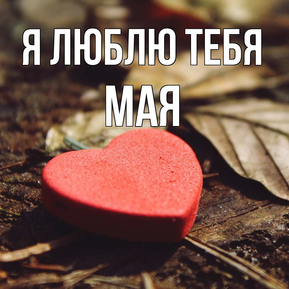 Открытка  с именем. Мая, Я люблю тебя  