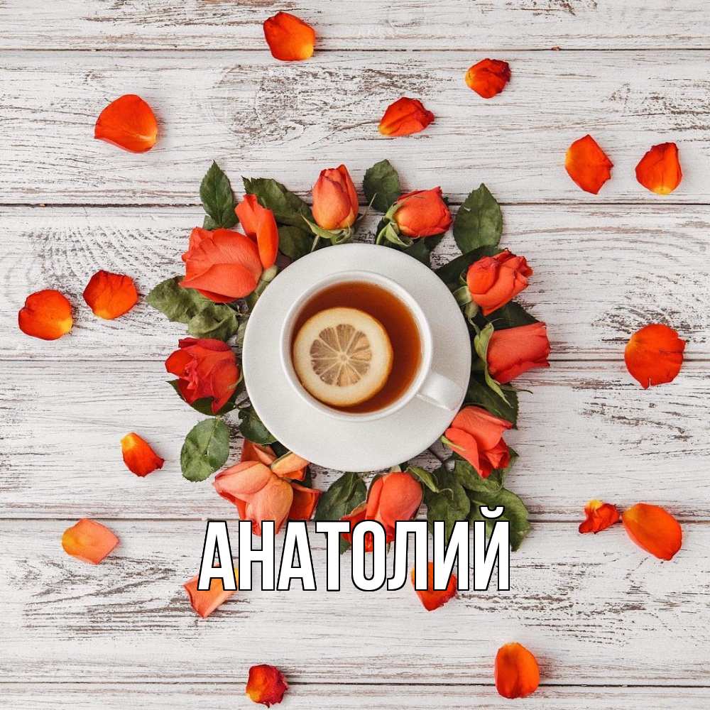 Открытка  с именем. Анатолий, Главная  