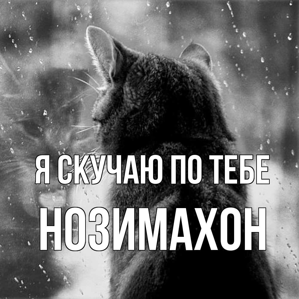 Открытка  с именем. Нозимахон, Я скучаю по тебе  