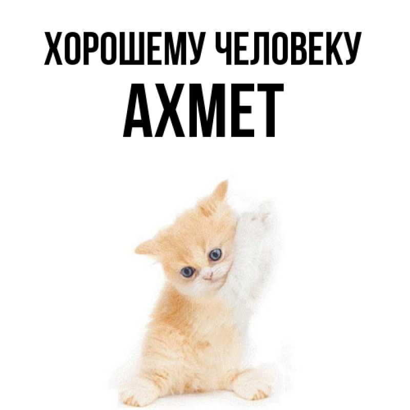 Картинка Хорошему человеку, Ахмет