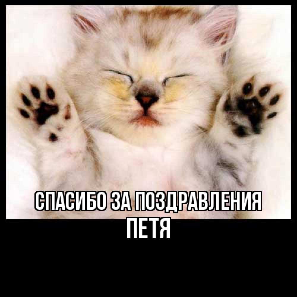 Открытка  с именем. Петя, Спасибо за поздравления  