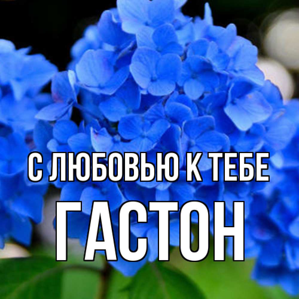Открытка  с именем. Гастон, С любовью к тебе  