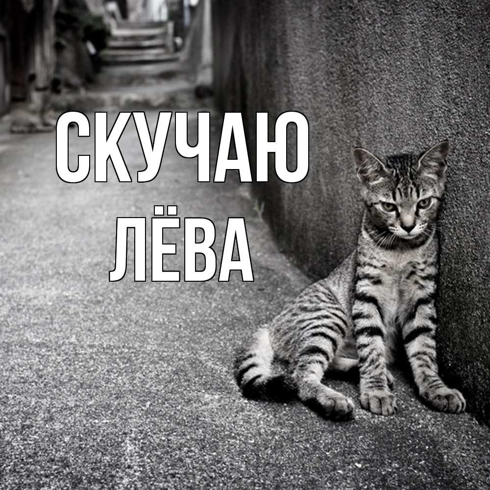 Открытка  с именем. Лёва, Скучаю  