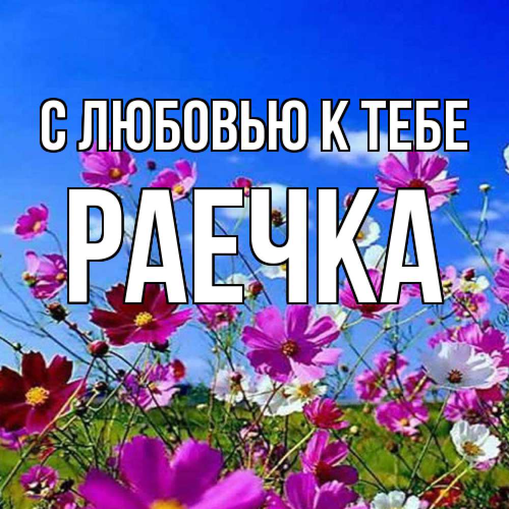 Открытка  с именем. Раечка, С любовью к тебе  