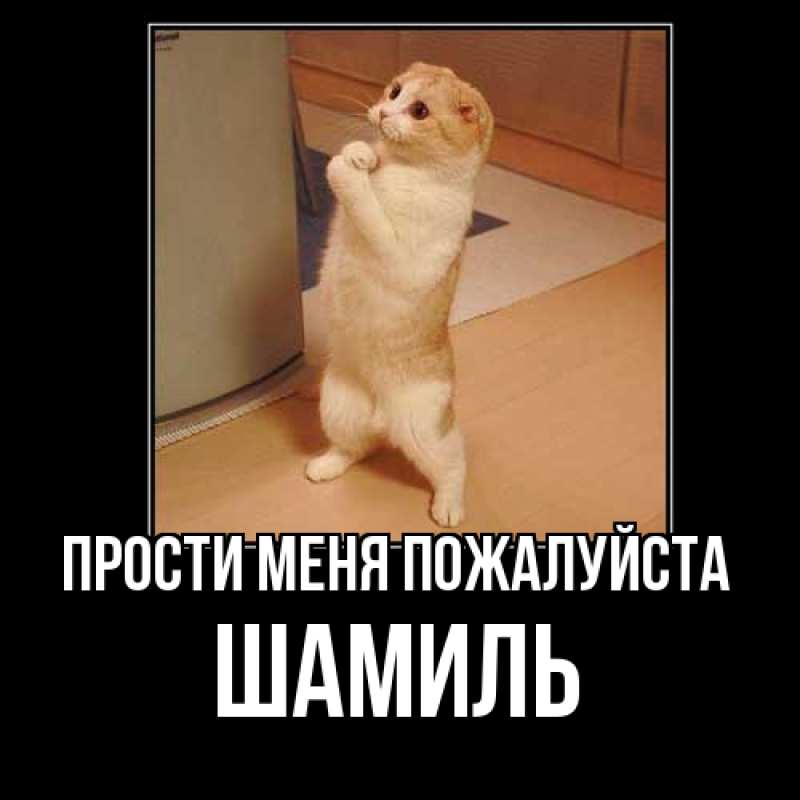 Картинка Прости меня пожалуйста, Шамиль