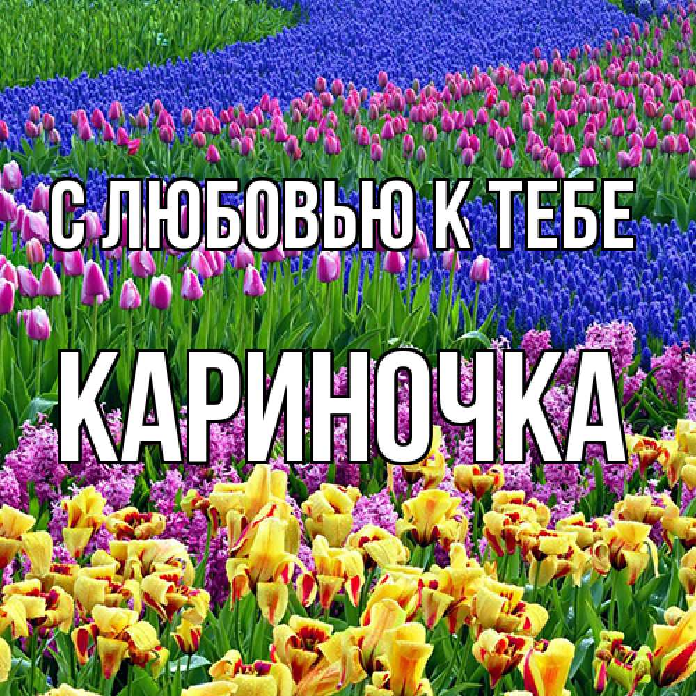 Открытка  с именем. Кариночка, С любовью к тебе  