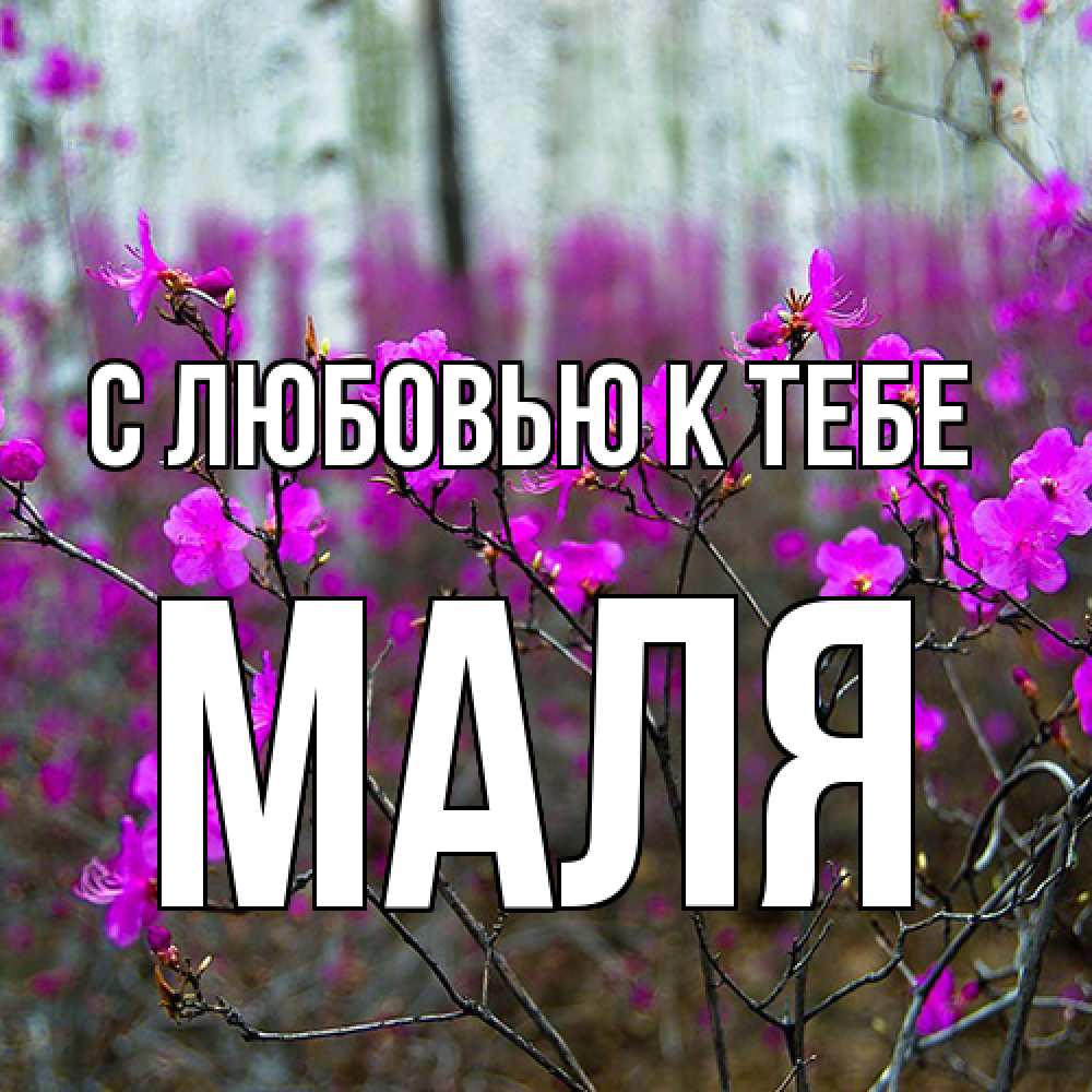 Открытка  с именем. Маля, С любовью к тебе  