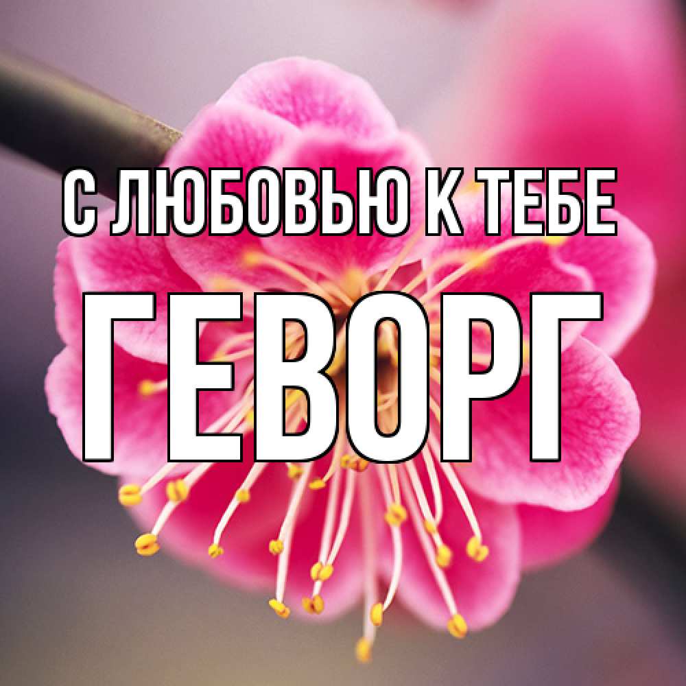 Открытка  с именем. Геворг, С любовью к тебе  