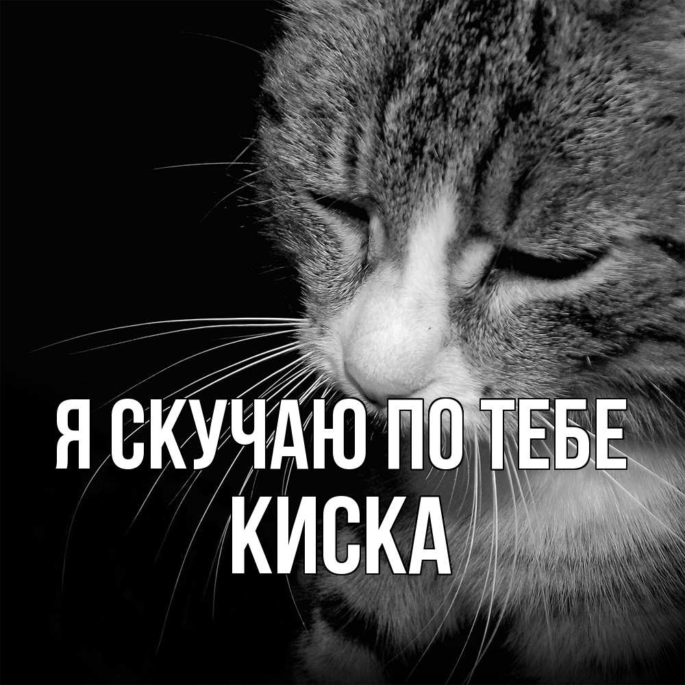 Открытка  с именем. Киска, Я скучаю по тебе  