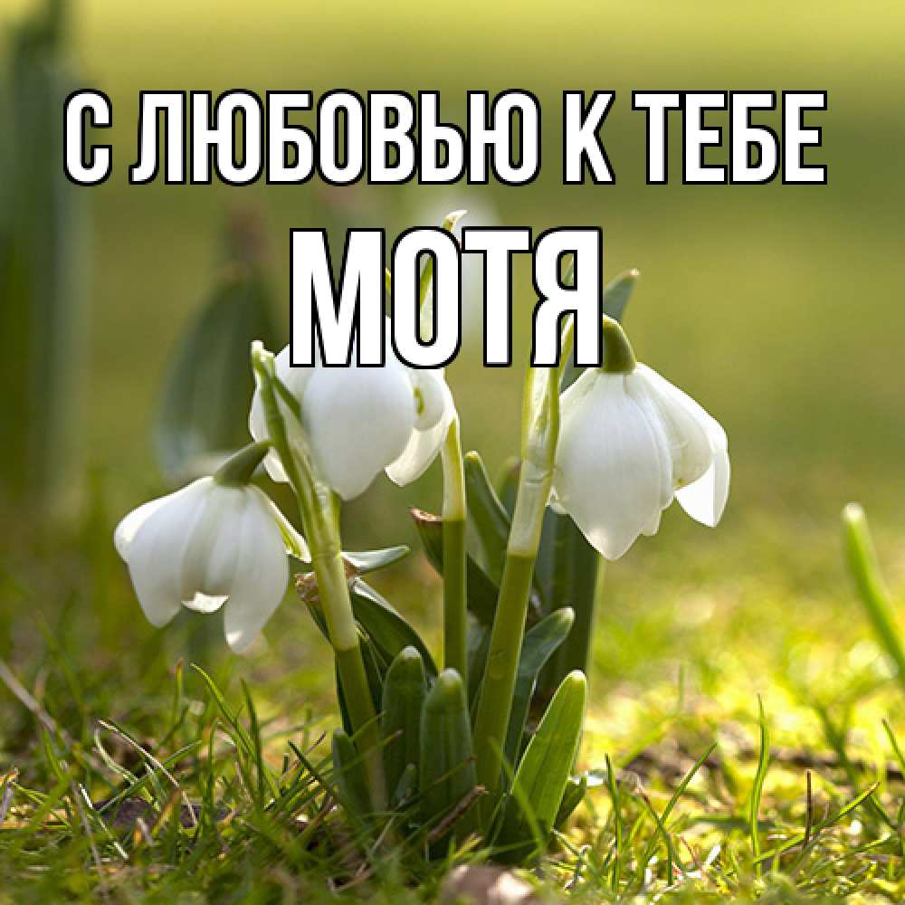 Открытка  с именем. Мотя, С любовью к тебе  