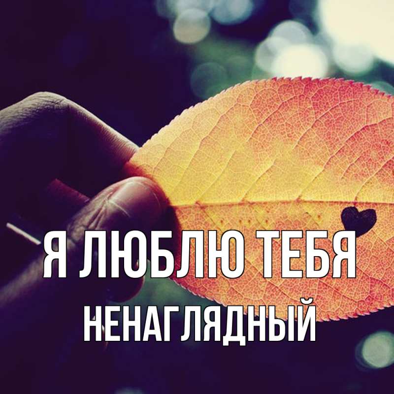 Картинка Я люблю тебя, Ненаглядный