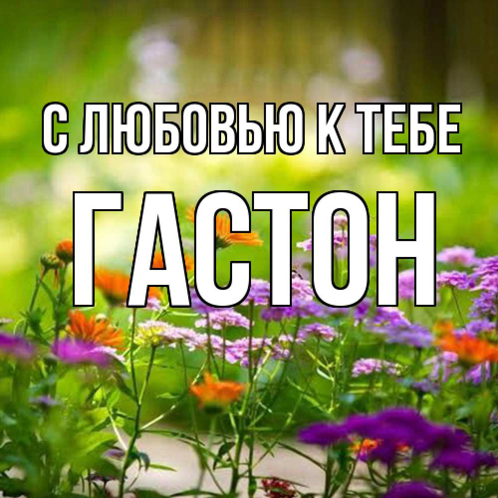 Открытка  с именем. Гастон, С любовью к тебе  