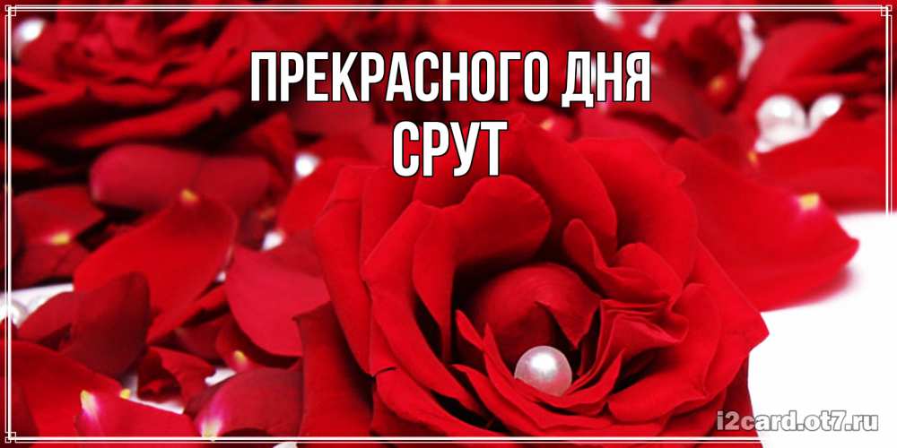 Открытка  с именем. срут, Прекрасного дня  