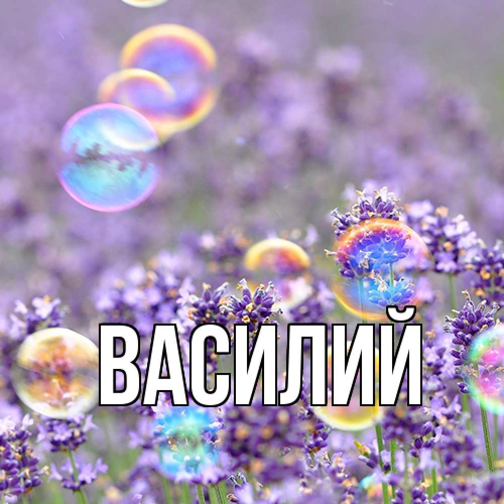 Открытка  с именем. Василий, Главная  