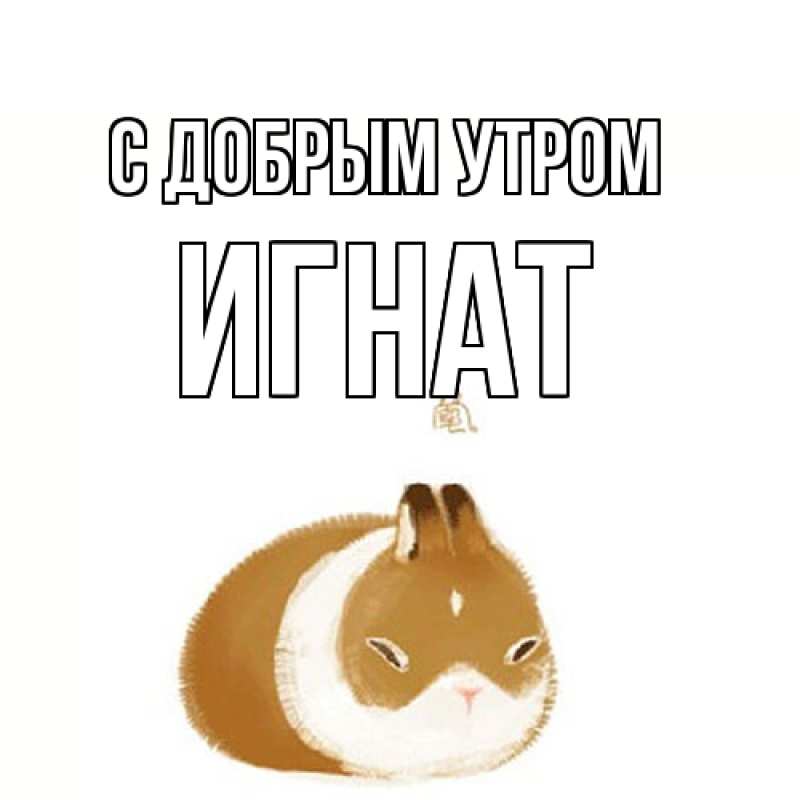 Картинка С добрым утром, Игнат