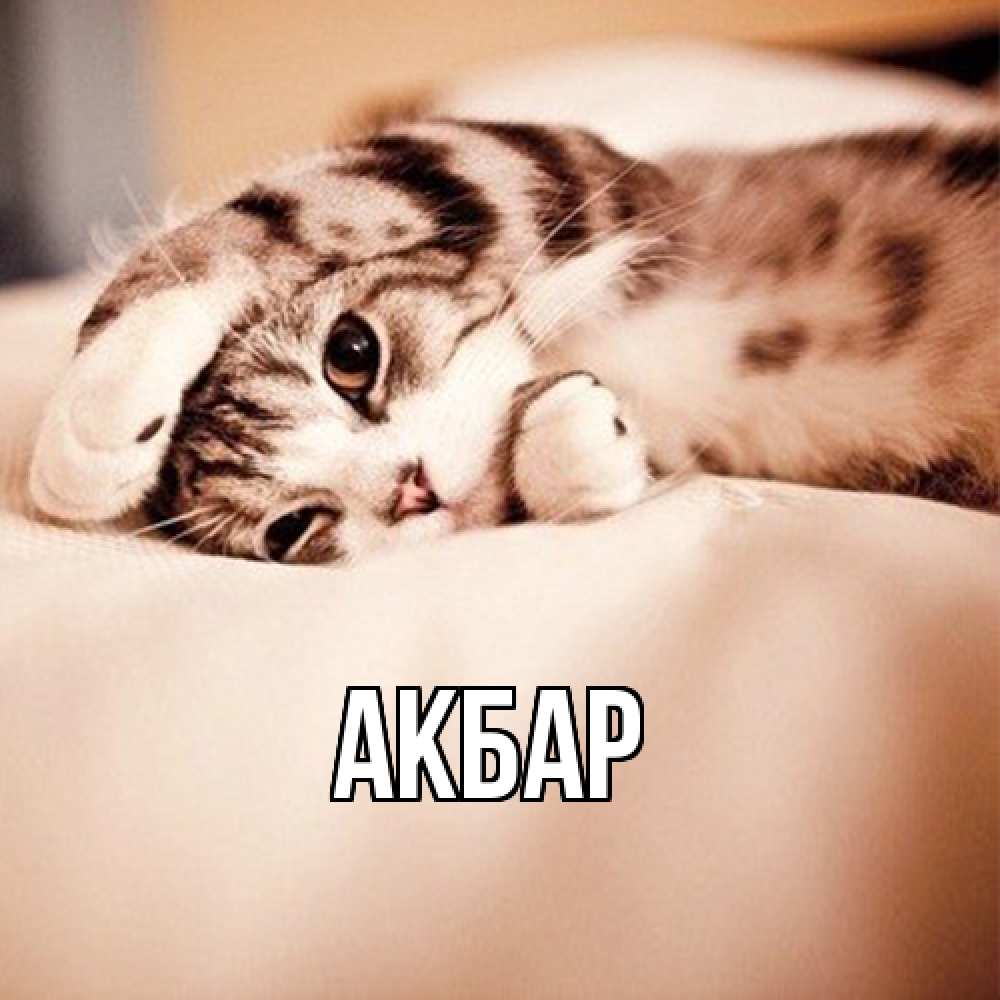 Открытка  с именем. Акбар, Главная  