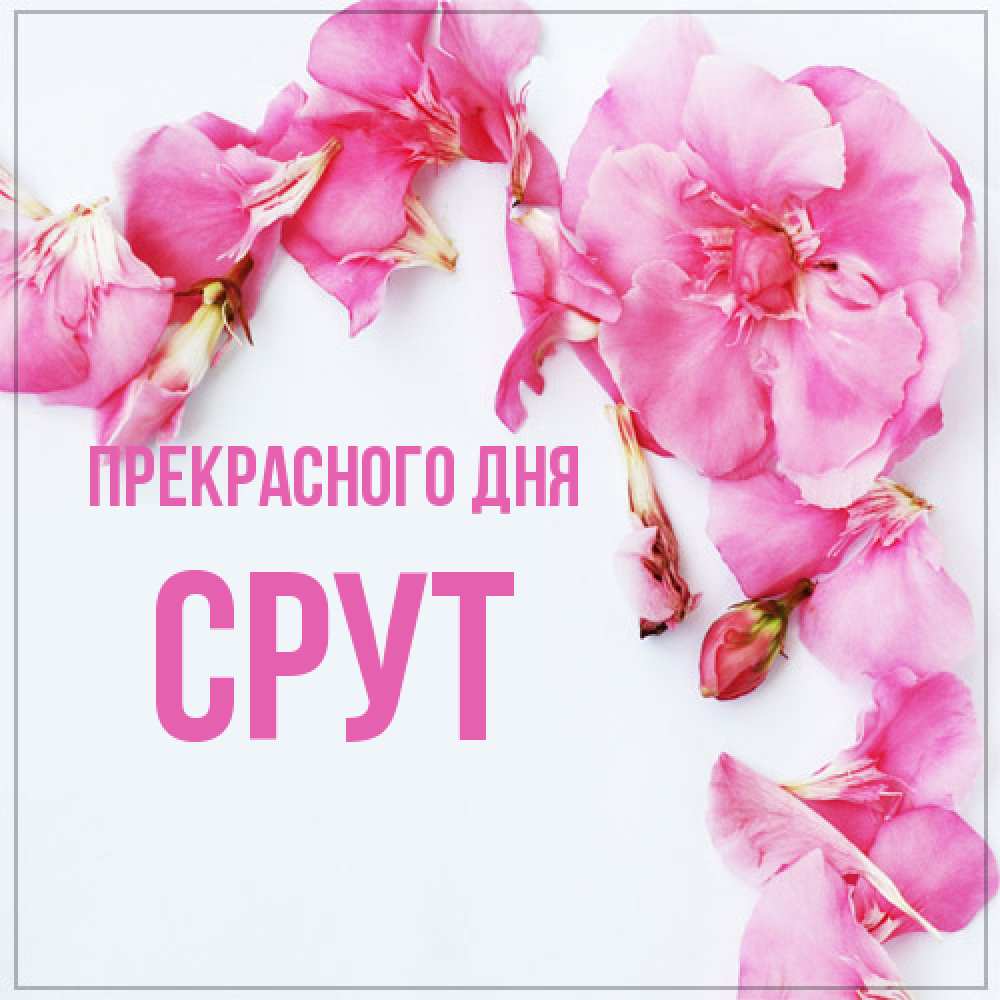 Открытка  с именем. срут, Прекрасного дня  