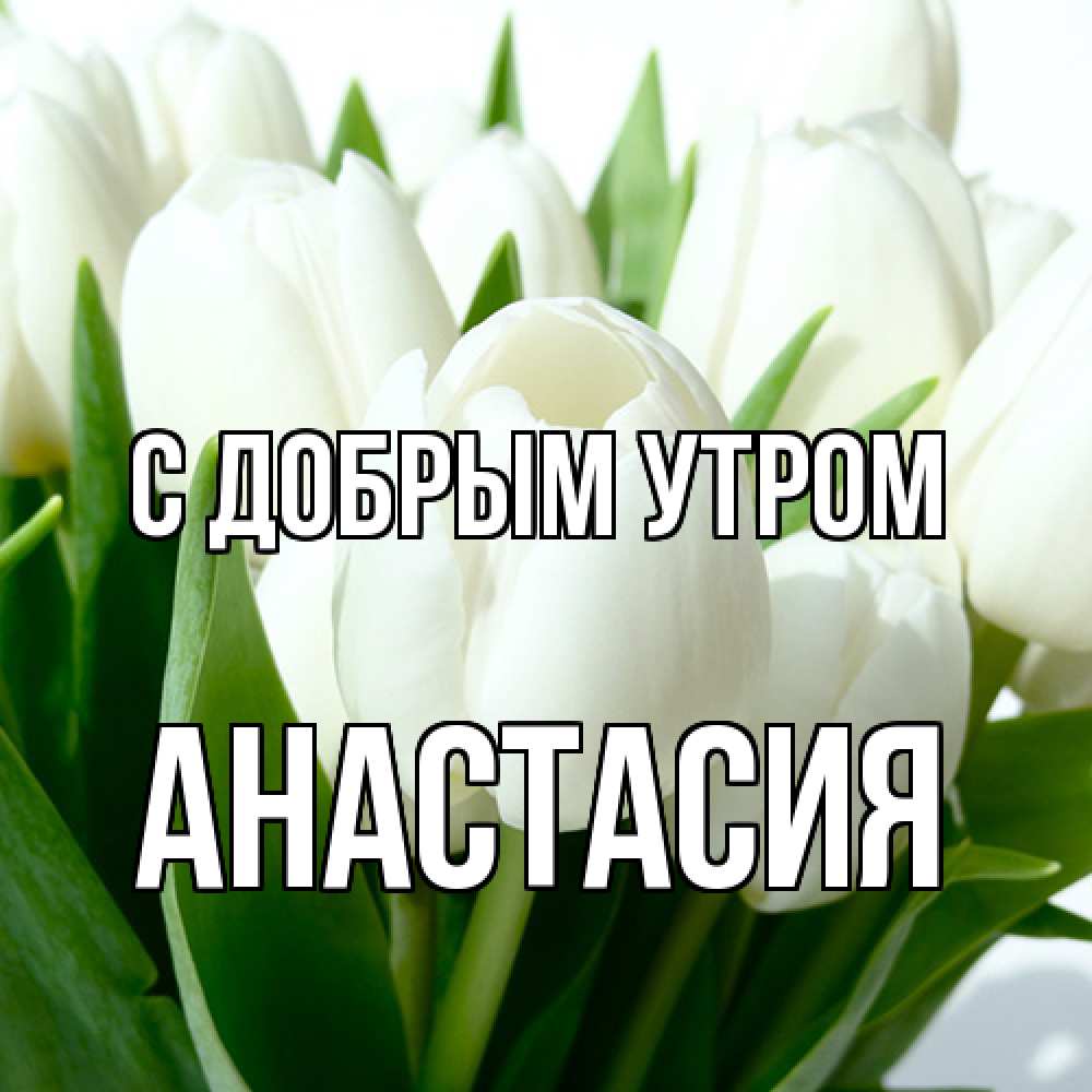 Открытка  с именем. Анастасия, С добрым утром  