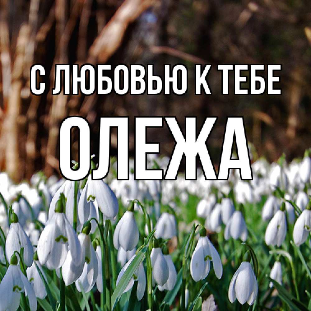 Открытка  с именем. Олежа, С любовью к тебе  