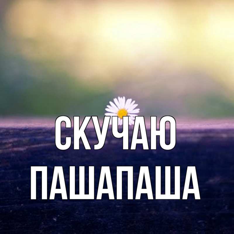 Картинка Скучаю, Пашапаша