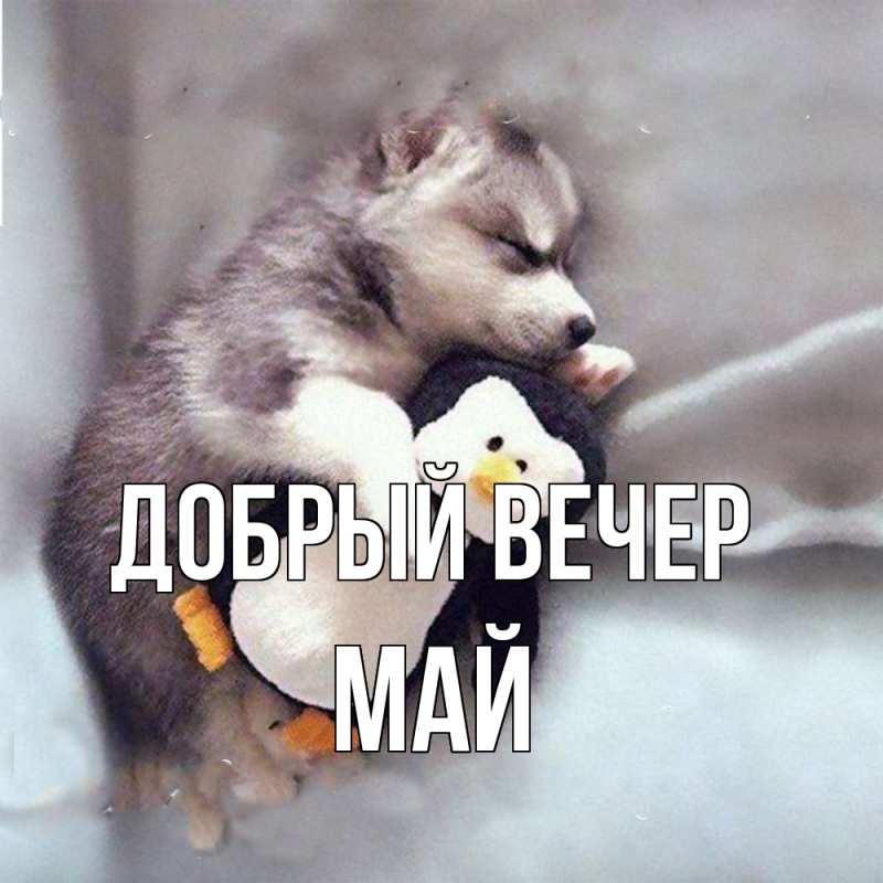 Картинка Добрый вечер, Май