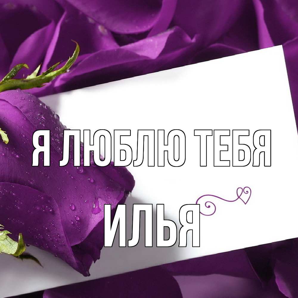 Открытка  с именем. Илья, Я люблю тебя  