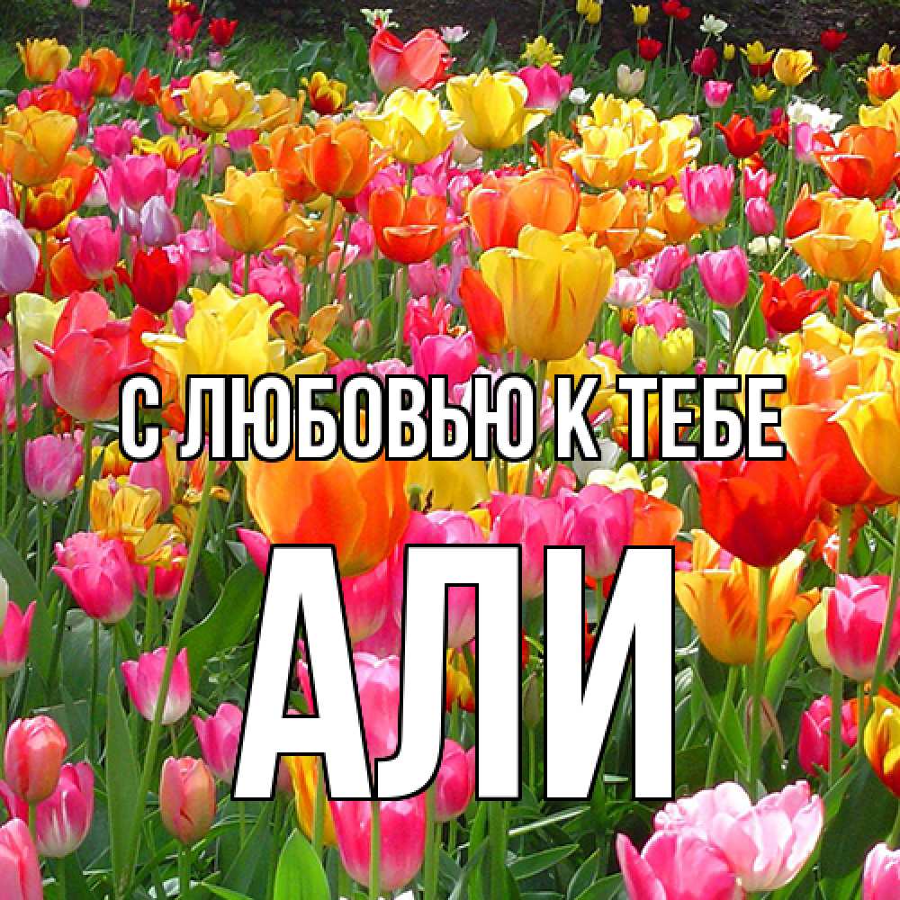 Открытка  с именем. Али, С любовью к тебе  
