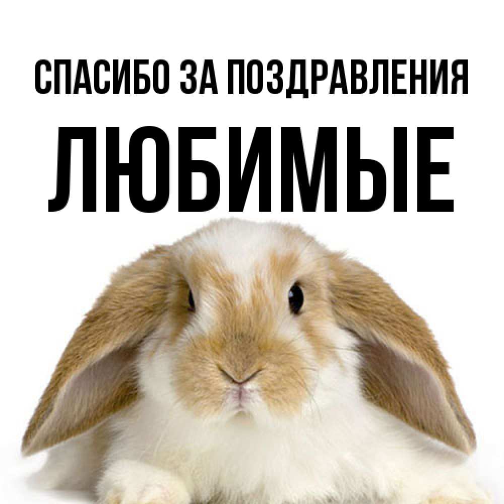 Открытка  с именем. Любимые, Спасибо за поздравления  